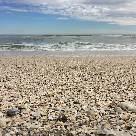 Blue Bike Appartement Mamaia