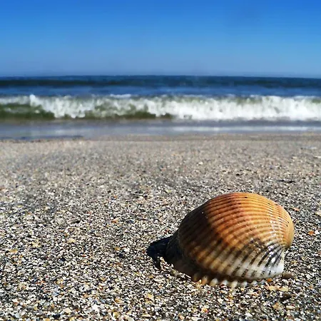 Appartamento Blue Bike Mamaia