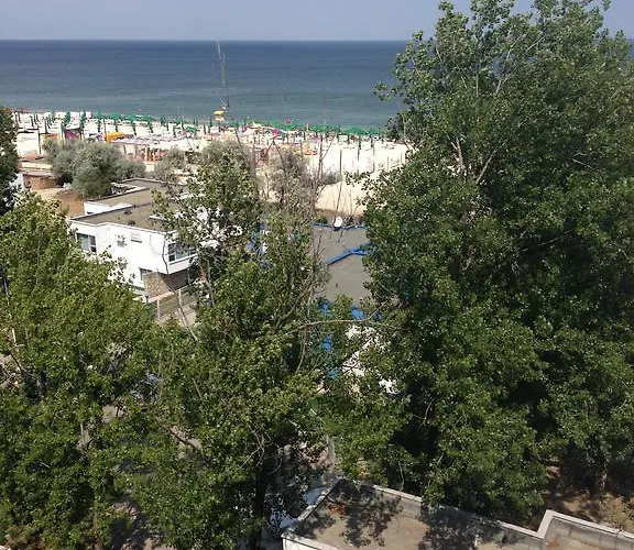 Daire Blue Bike Mamaia