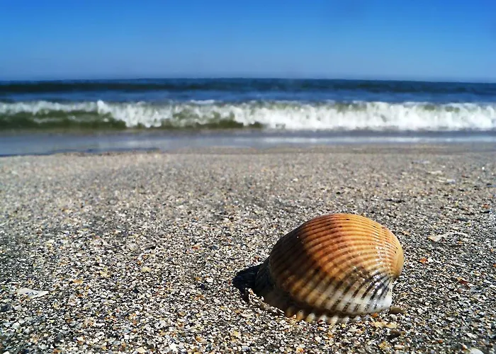 Διαμέρισμα Blue Bike Mamaia