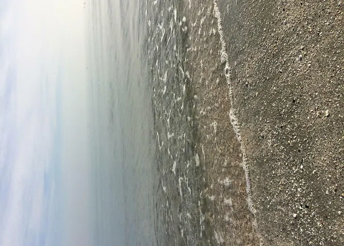 Διαμέρισμα Blue Bike Mamaia